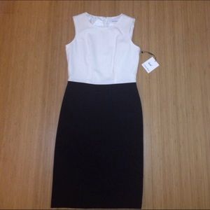 NEW Calvin Klein Black/White Dress - Size 6